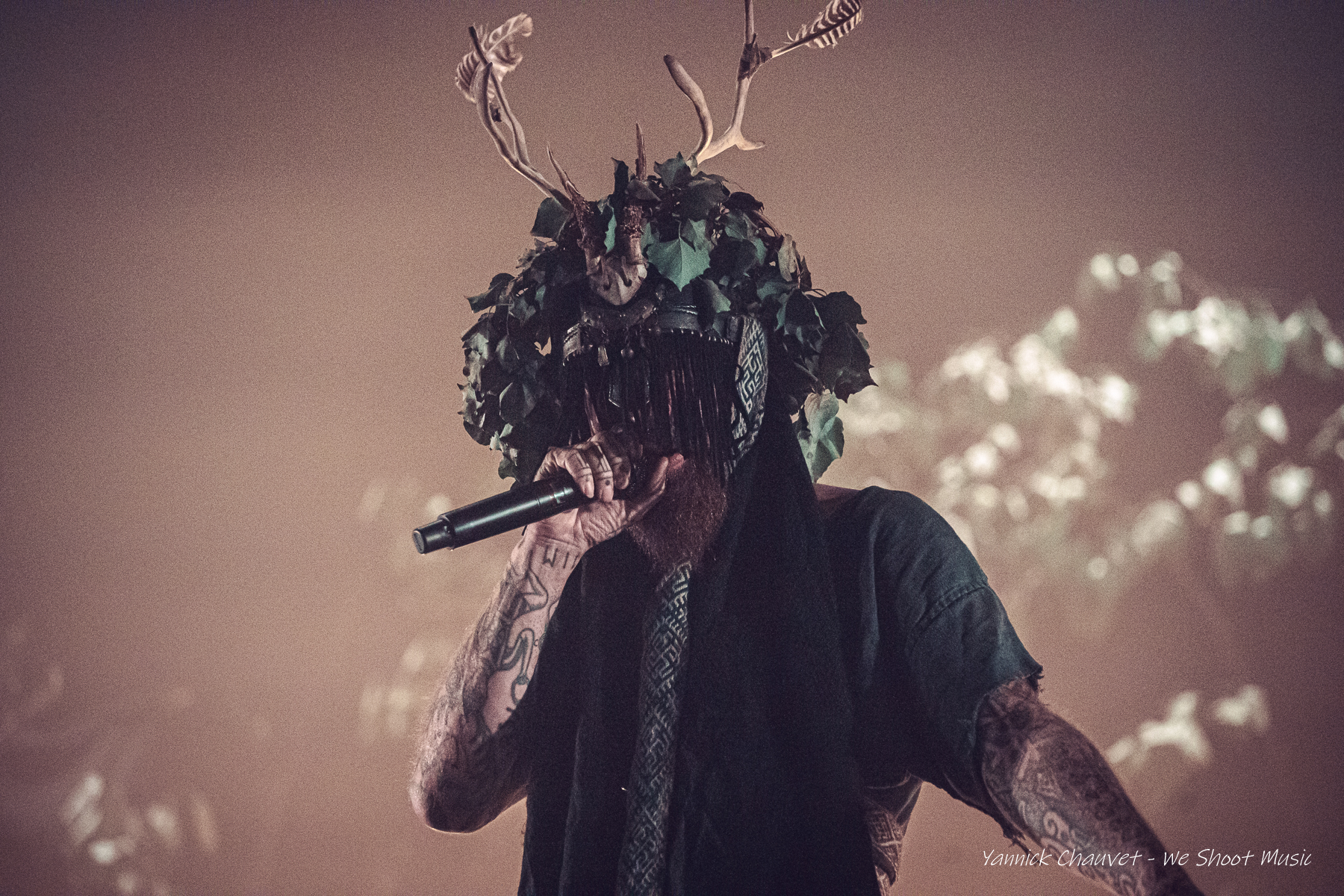 Heilung