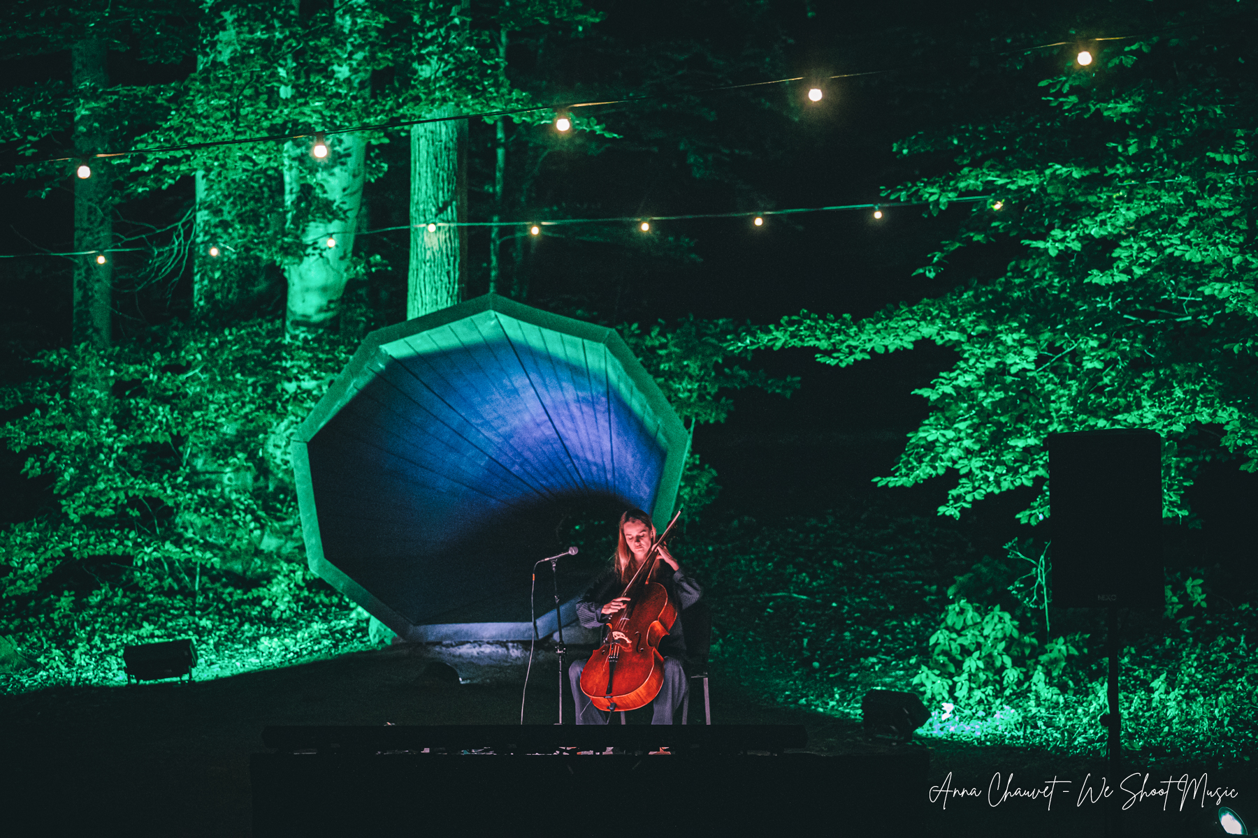 Forest Festival 2025 - Opera Lesna, Sopot